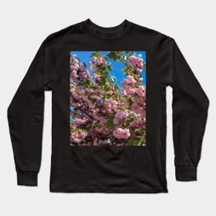 Cherry Blossoms Long Sleeve T-Shirt